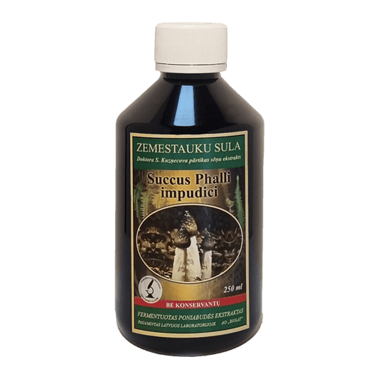 Dr. Kuznetsov's Stinkhorn (Phallus impudicus) extract, 250 ml